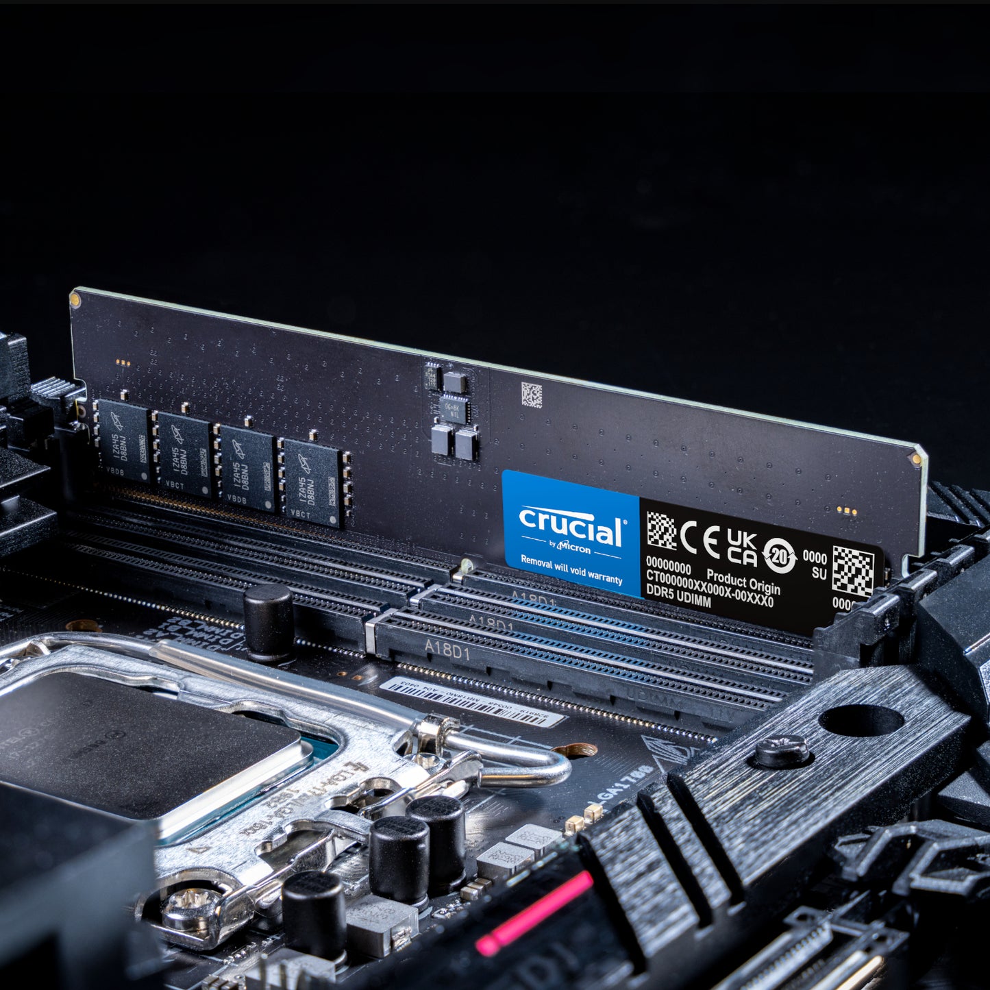 Crucial 32GB 5600Mhz DDR5 Desktop Memory - Stellar Technologies