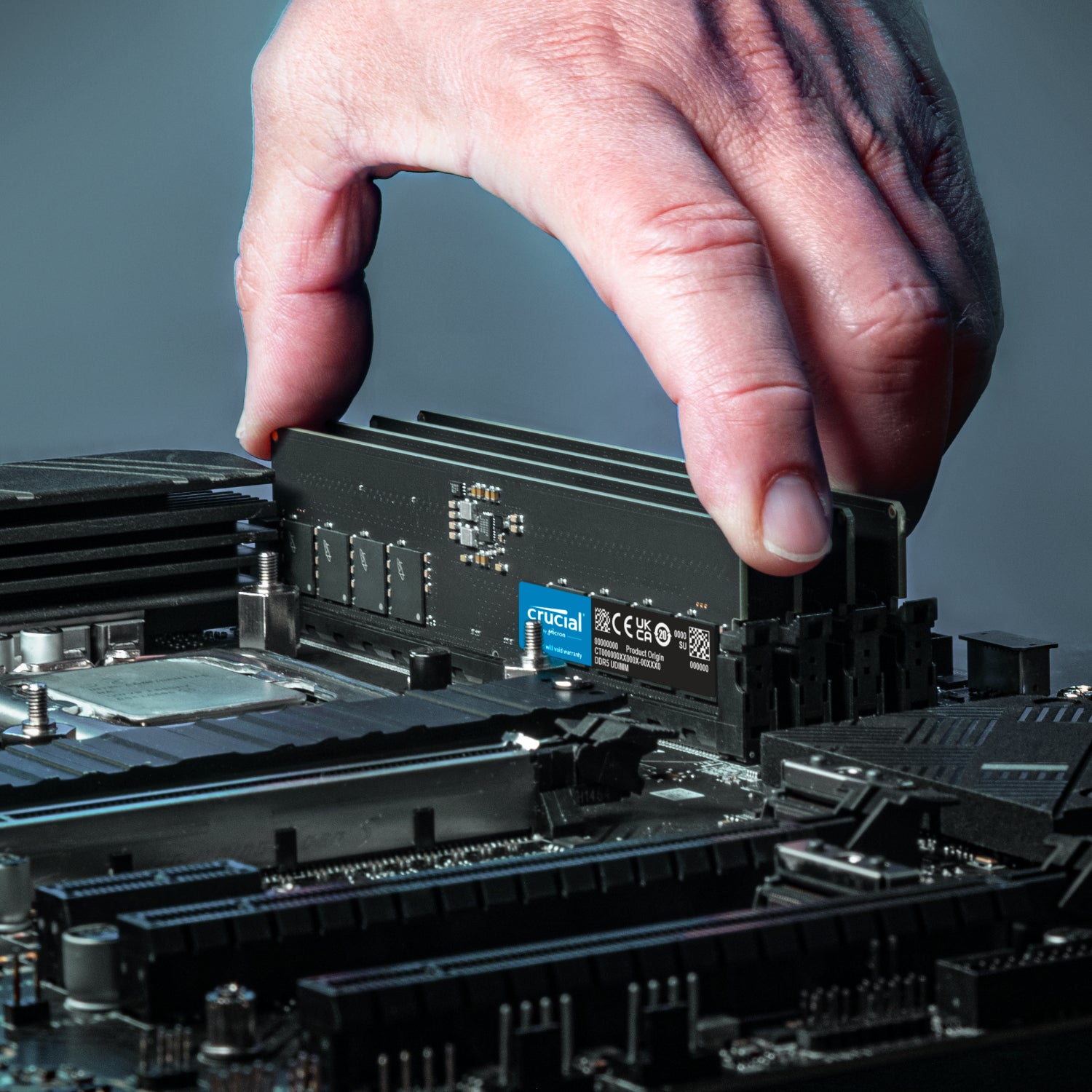 Crucial 16GB 5600MHz DDR5 Desktop Memory - Stellar Technologies