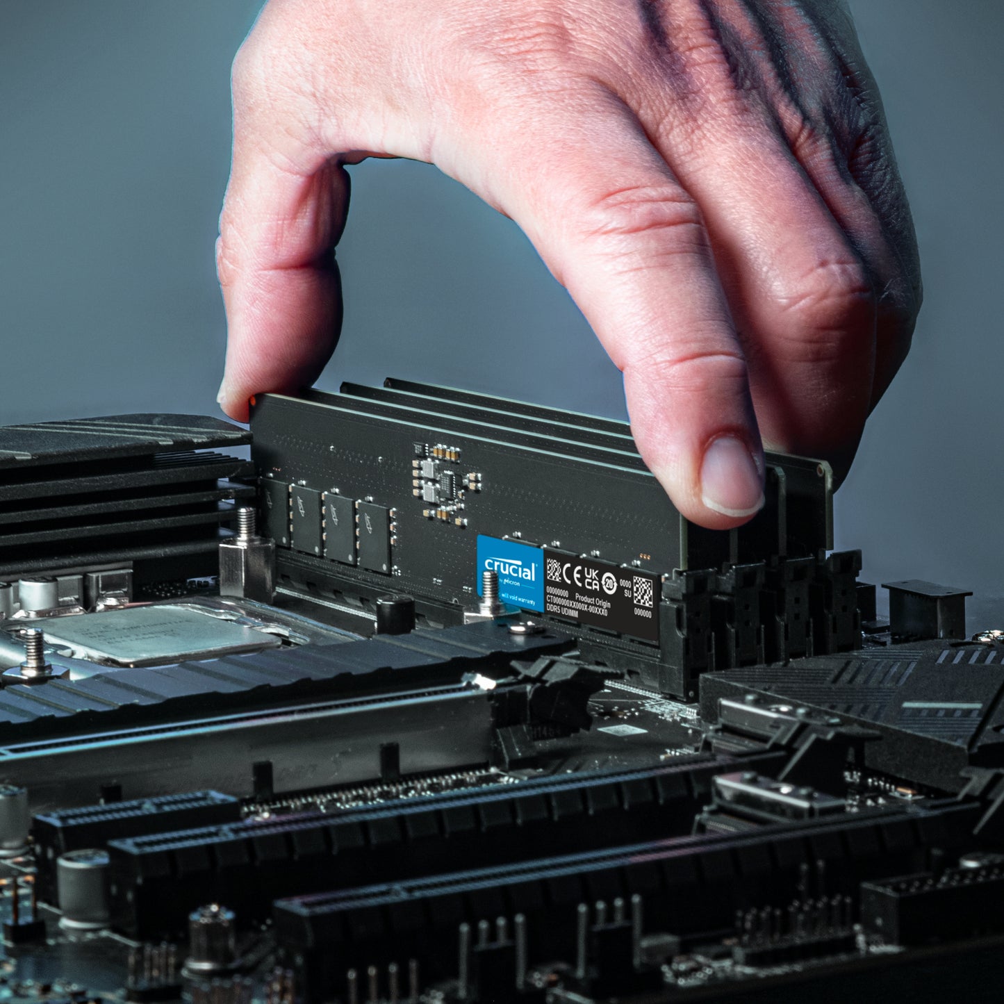 Crucial 32GB 5600Mhz DDR5 Desktop Memory - Stellar Technologies