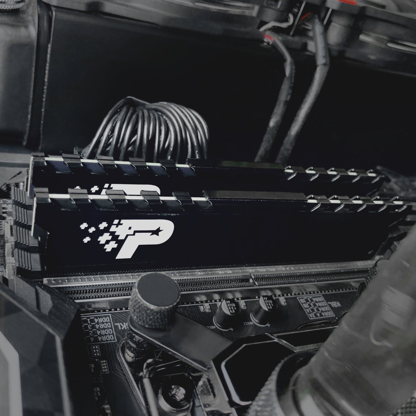 Patriot Signature Premium Line DDR4 16GB 3200MHz UDIMM - Stellar Technologies