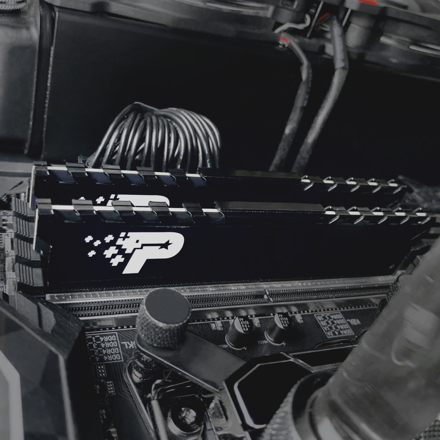 Patriot Signature Premium Line DDR4 16GB 3200MHz UDIMM - Stellar Technologies